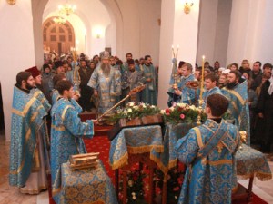 В Саратовскую епархию прибыли святыни Свято-Введенского Толгского монастыря