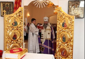 Архипастырская поездка в Татищевский район