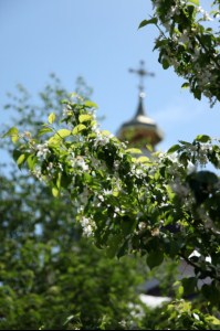 Божественная литургия в храме во имя святителя Николая Чудотворца Свято-Никольского женского монастыря п. Монастырский Пугачевского района