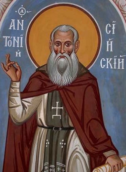 Прп. Антония Сийского