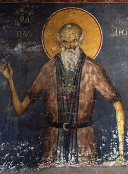 Прп. Павла Латрийского
